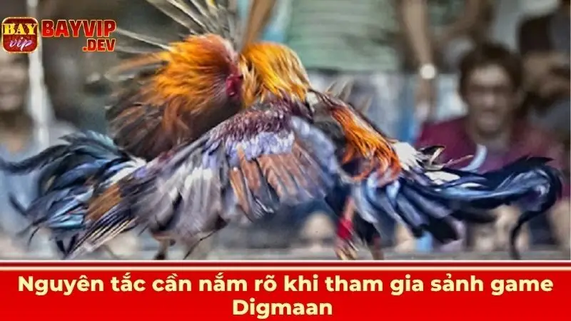 Nguyên tắc cần nắm rõ khi tham gia sảnh game Digmaan