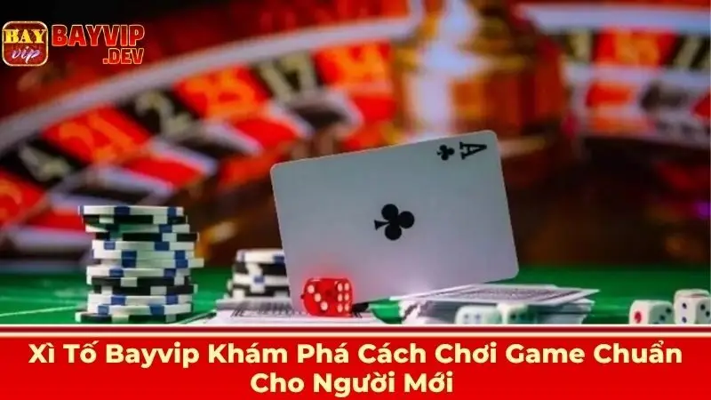 Xì Tố Bayvip Khám Phá Cách Chơi Game Chuẩn Cho Người Mới